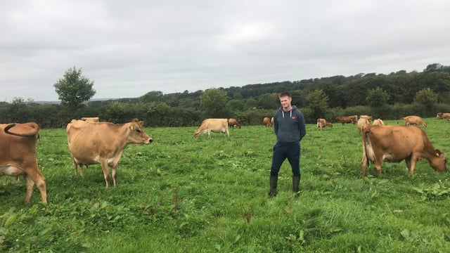 Dairy Focus: 'Organic dairy made more financial sense'