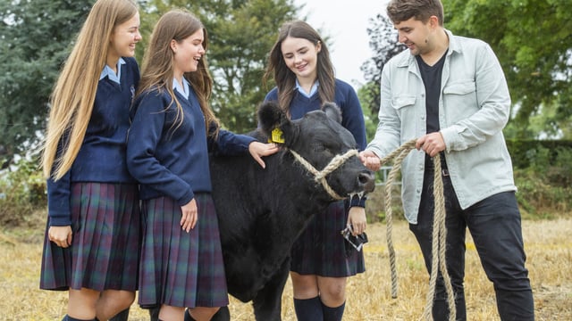 Dublin students among finalists in Certified Angus school competition