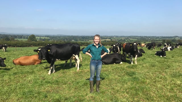 Dairy Focus: Paving a path into dairying on a leased farm