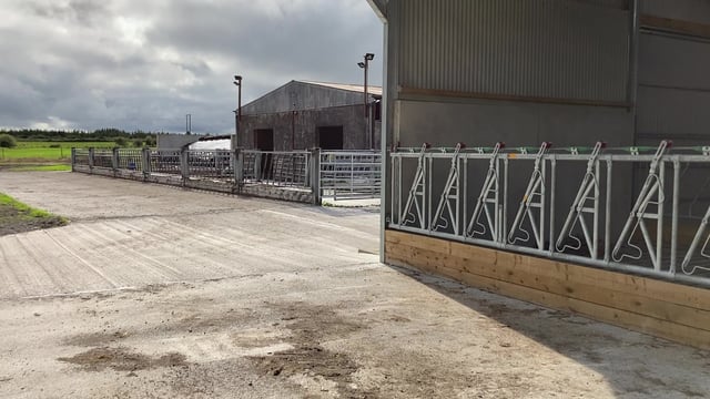 DAFM approves over 3,700 TAMS tranche 2 applications