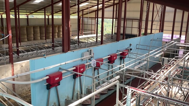 Buildings Focus: 69 cubicles, crush, holding area and a 10-unit parlour in Wicklow