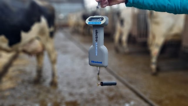 Feeder inaccuracy of up to 15% found on NI dairy farms