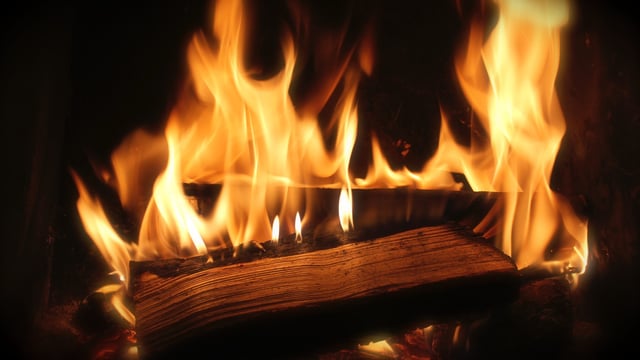 New solid fuels standards 'cautiously welcomed'