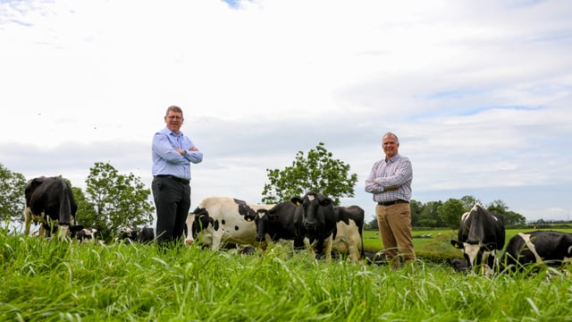 Dairy Council elects new chair and vice-chair