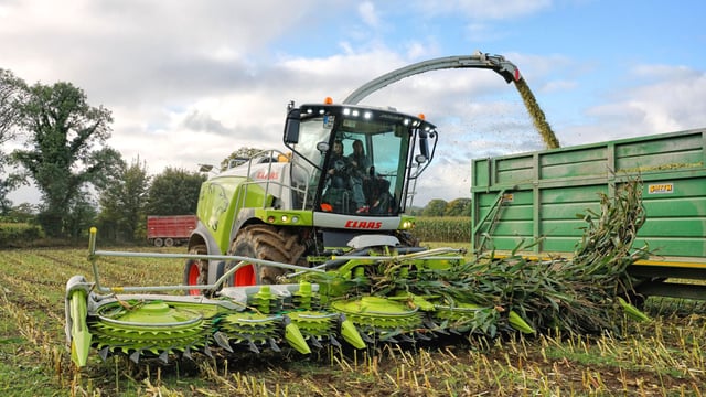 Machinery Focus: Clearing a maize crop grown 'plastic free'