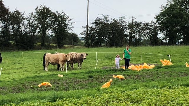 Cavan woman keen to give back through social farming