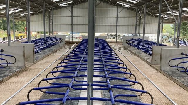 Buildings Focus: A 160-cubicle shed facing into its first full winter in Kilkenny