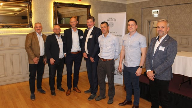 Danish pig industry committed to improving maternal lines