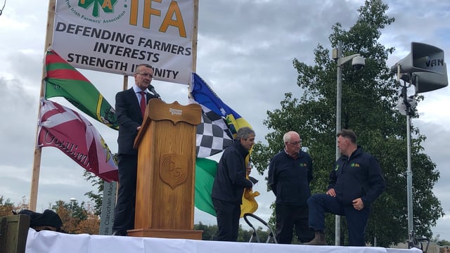 IFA 'Day of Rallies' continues in Roscommon