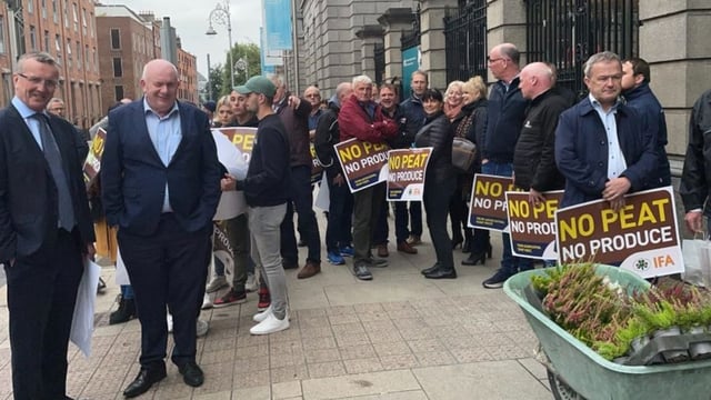 Horticulture sector 'abandoned': Growers protest in Dublin