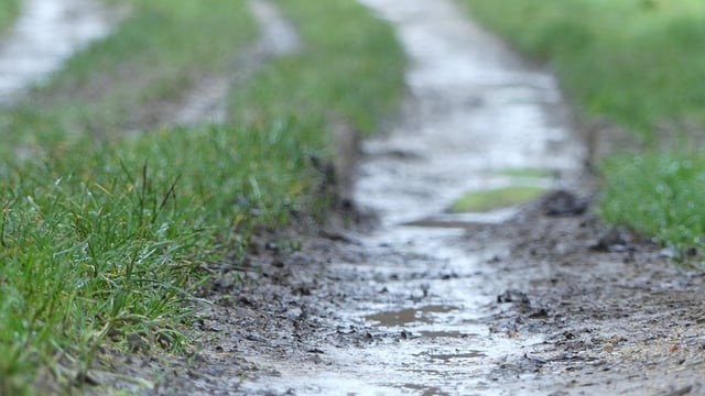 Weather: Unsettled with heavy rain at times, turning milder midweek
