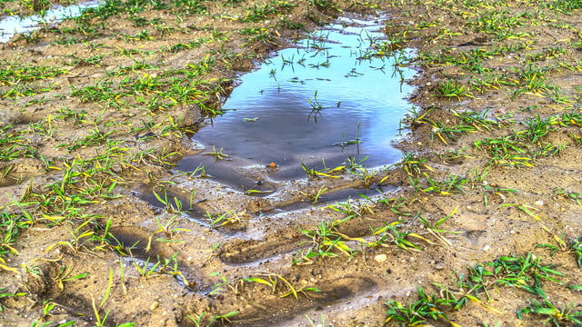 Weekend weather: Heavy rainfall in places with a risk of some localised flooding