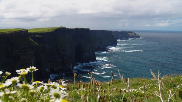 'Centralised dashboard' for Irish nature-related data recommended