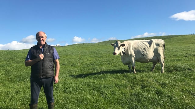 Dairy Focus: Mohoncross Holstein starting with 9 calves