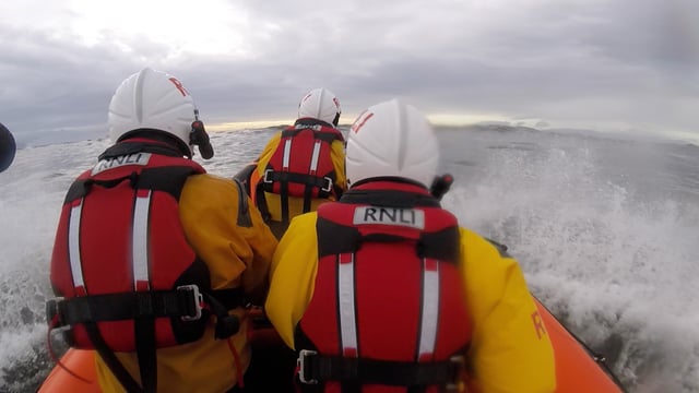 Donegal cow rescued by RNLI after drifting out to sea