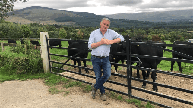 Beef Focus: Producing Wagyu beef from dairy and suckler dams