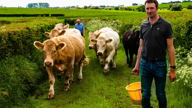 M&S commits to sustainable agriculture through 5-year programme