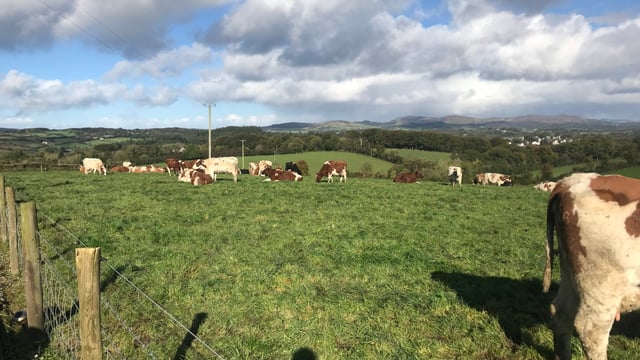 Dairy Focus: Stepping back without a successor in Donegal