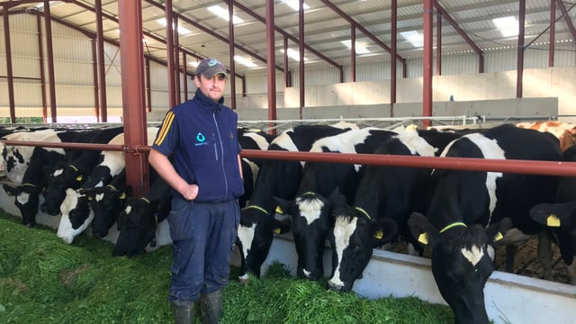 Dairy farmer fears derogation reduction could cost him €40,000/year