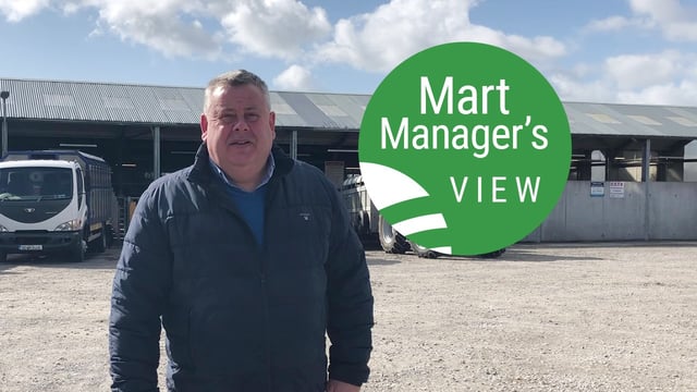 'Strong trade all round at Castlerea, with farmers looking to replenish numbers'