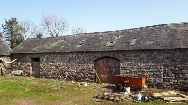 Restoration goal achieved by Kilkenny farmer