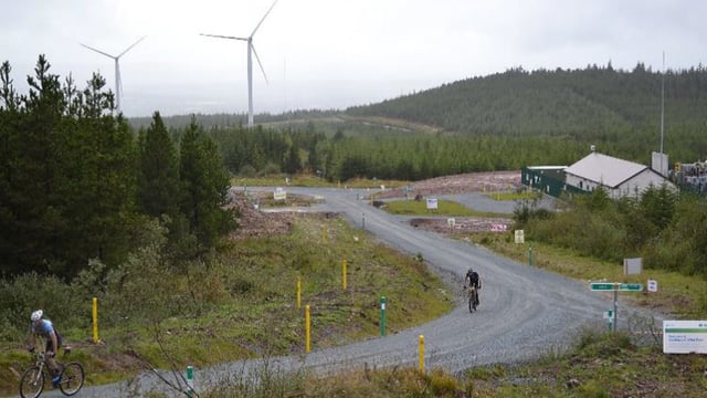 Coillte-ESB €1.5bn renewable energy venture imminent