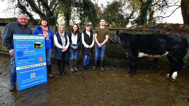 Belgian Blue the star of fundraising draw for Bryan