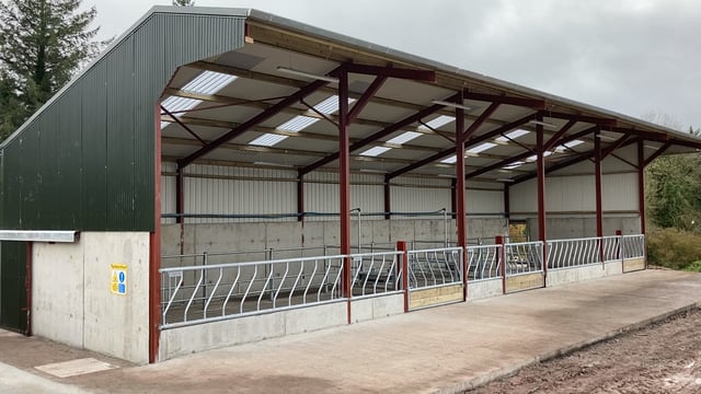 Buildings Focus: Five-bay beef unit for a calf-to-store enterprise in Waterford