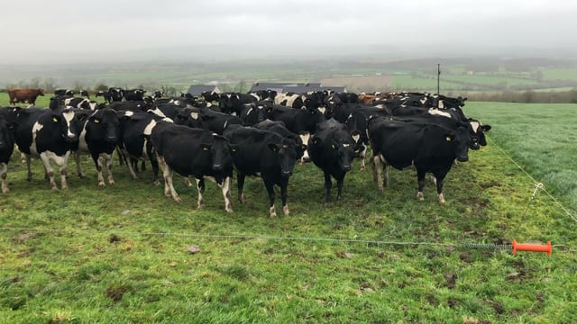 Hotspots pose significant risk for nitrate leaching