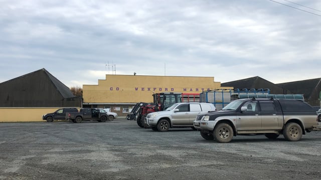 Mart report: Numbers ease but demand builds in Enniscorthy