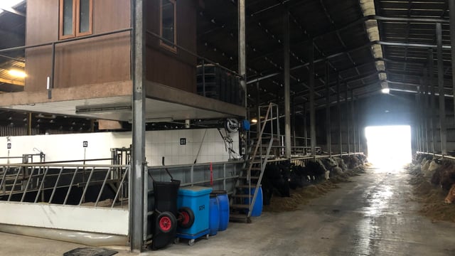 Beef Focus: Supplying the growing market for 'high-end' sucklers