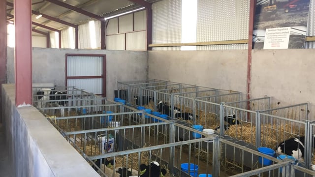 Is your calf shed in order for next spring?