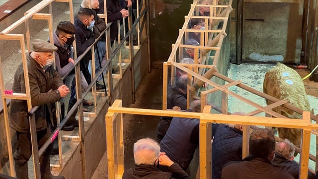 Farmer safety at marts remains a priority