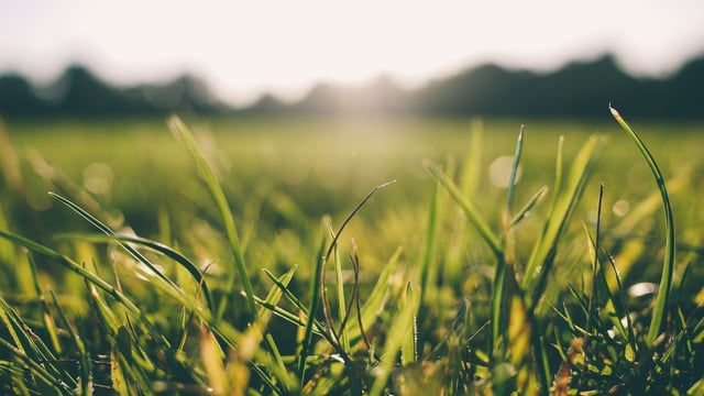 Climate Action Plan: Agri sector 'needs time and support'