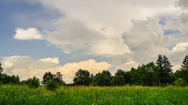 International Methane Emissions Observatory launched