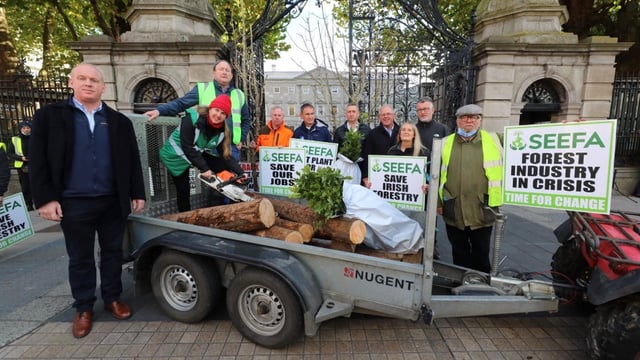 'Time for change' - SEEFA stages protest in bid to save forestry sector