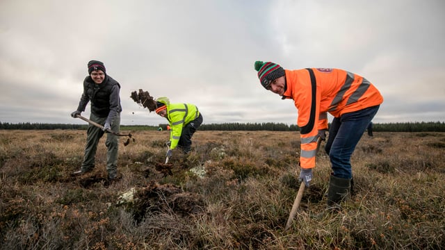 Mayo farmer commences bog-rewetting project on 50 acres