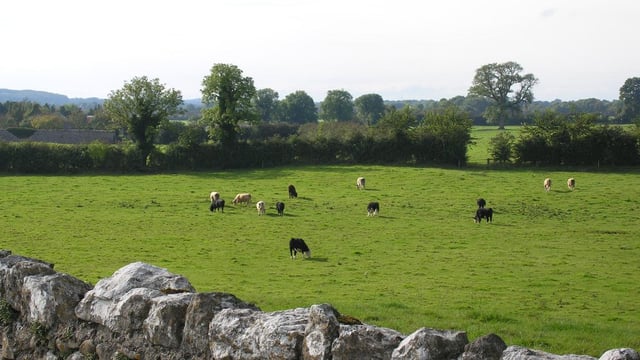 'Essential that the state follows through' on Climate Action Plan - An Taisce