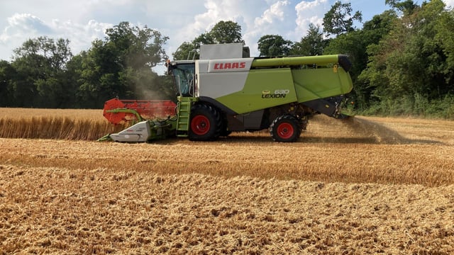 Harvest 2021: Cereal production increased by 21%