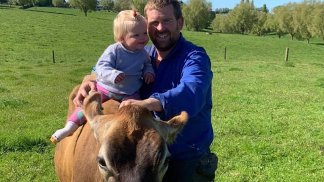 Dairy Focus: 'The Once A Day Farmer'