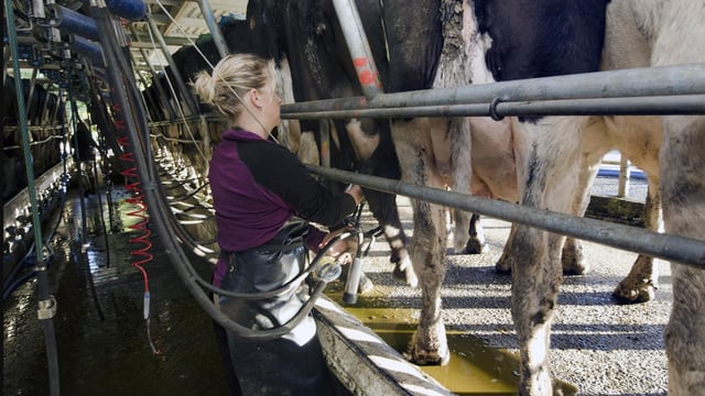 MEPs support removal of  TAMS age limit for women in farming