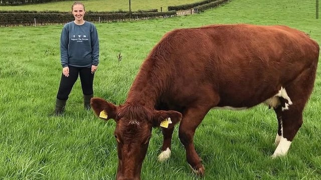 Farmer produces Christmas cards in aid of Air Ambulance
