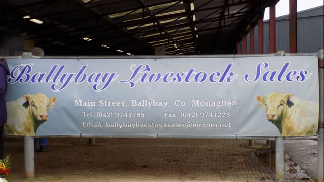 Ballybay Mart: 'Back in business' as sales resume