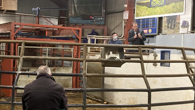 Strong sheep prices 'long overdue' - Minister McConalogue