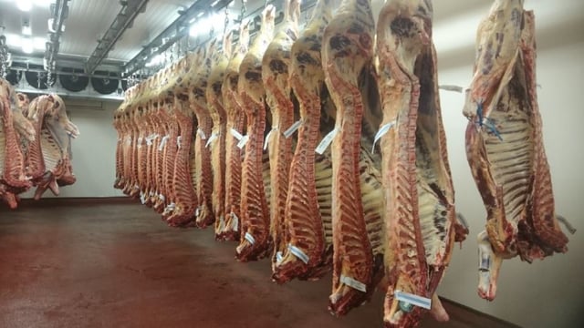 Average carcass weights for Q1 2025 decline further