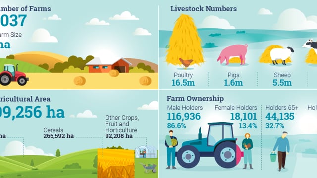 Census: Percentage of female farm holders up by 1% in a decade