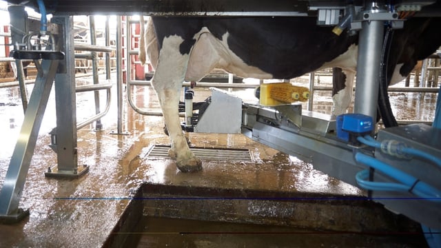 ICMSA: More features to be developed for interactive Milk Price Tracker