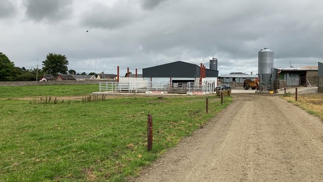 Back In Focus: Settling in nicely to a new modern dairy unit in Co. Tipperary