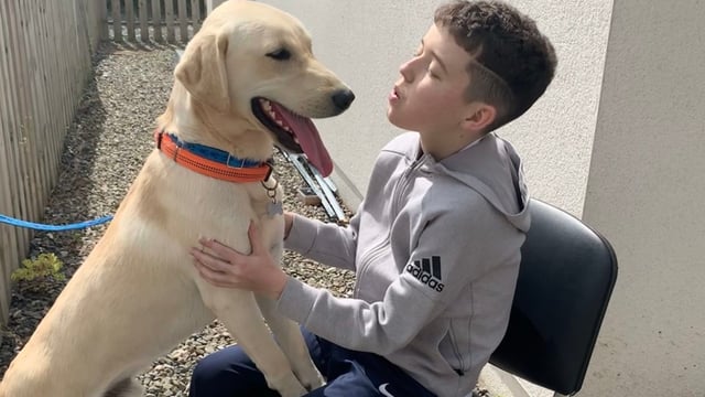Teen's legacy brings canine comfort to sick children