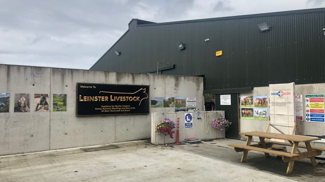 Beef Focus Revisit: Inside ‘state-of-the-art’ Longford cattle dealer’s yard